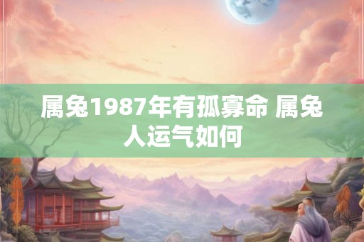 属兔1987年有孤寡命 属兔人运气如何