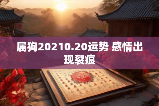 属狗20210.20运势 感情出现裂痕