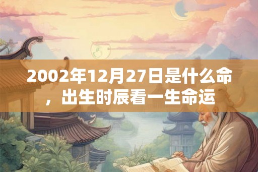 2002年12月27日是什么命，出生时辰看一生命运