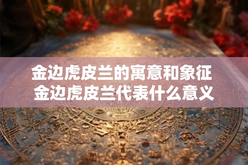 金边虎皮兰的寓意和象征 金边虎皮兰代表什么意义 金边虎皮兰的寓意和象征 金边虎皮兰代表什么意义