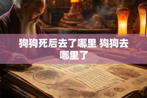 狗狗死后去了哪里 狗狗去哪里了