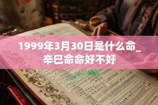 1999年3月30日是什么命_辛巳命命好不好