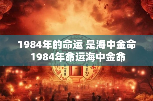 1984年的命运 是海中金命 1984年命运海中金命