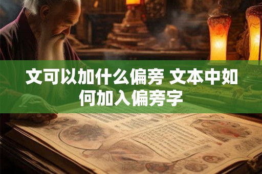 文可以加什么偏旁 文本中如何加入偏旁字