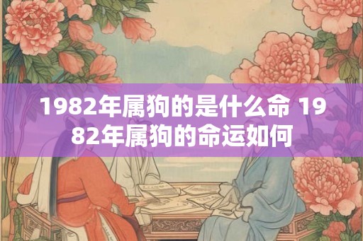 1982年属狗的是什么命 1982年属狗的命运如何