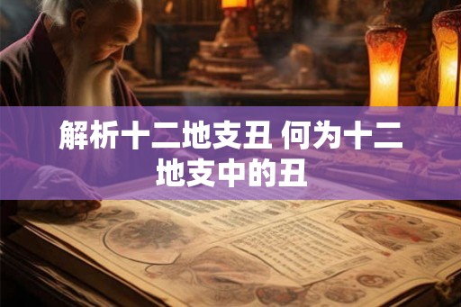 解析十二地支丑 何为十二地支中的丑