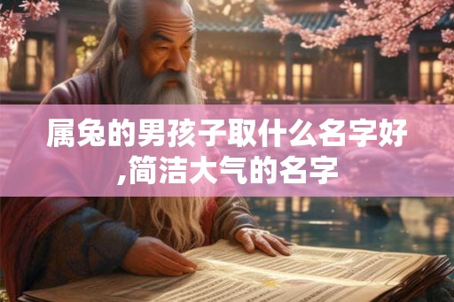 属兔的男孩子取什么名字好,简洁大气的名字