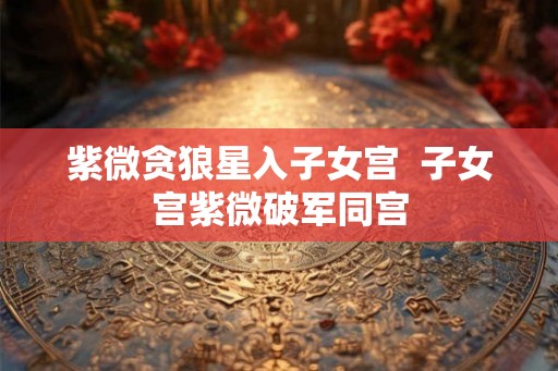紫微贪狼星入子女宫  子女宫紫微破军同宫