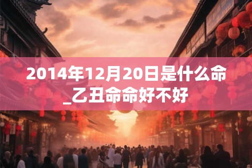 2014年12月20日是什么命_乙丑命命好不好
