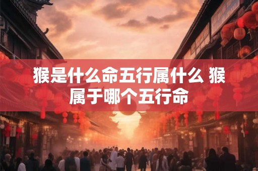 猴是什么命五行属什么 猴属于哪个五行命