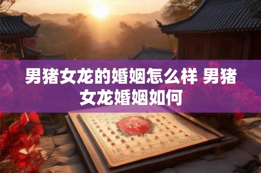 男猪女龙的婚姻怎么样 男猪女龙婚姻如何