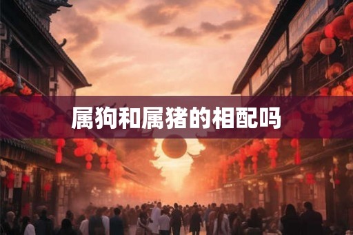 属狗和属猪的相配吗