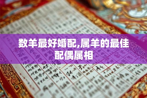 数羊最好婚配,属羊的最佳配偶属相