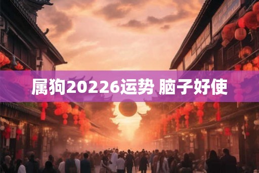 属狗20226运势 脑子好使