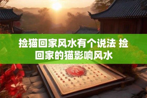 捡猫回家风水有个说法 捡回家的猫影响风水 捡猫回家风水有个说法 捡回家的猫影响风水