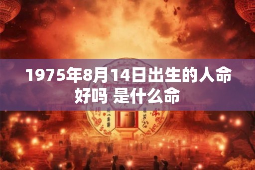 1975年8月14日出生的人命好吗 是什么命