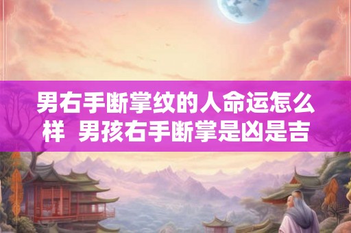 男右手断掌纹的人命运怎么样  男孩右手断掌是凶是吉