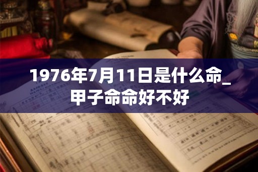 1976年7月11日是什么命_甲子命命好不好