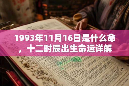 1993年11月16日是什么命，十二时辰出生命运详解