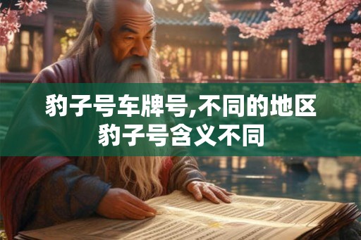 豹子号车牌号,不同的地区豹子号含义不同