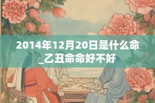 2014年12月20日是什么命_乙丑命命好不好