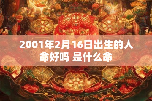 2001年2月16日出生的人命好吗 是什么命