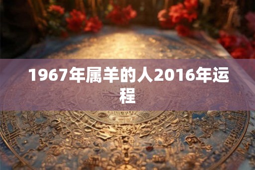 1967年属羊的人2016年运程