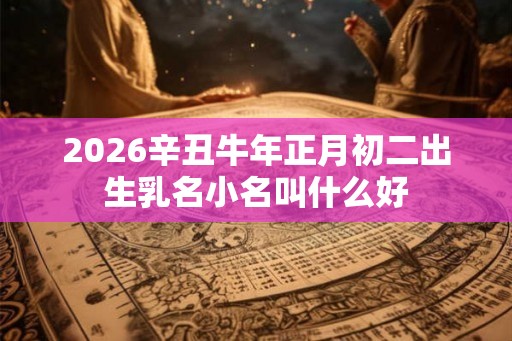 2026辛丑牛年正月初二出生乳名小名叫什么好