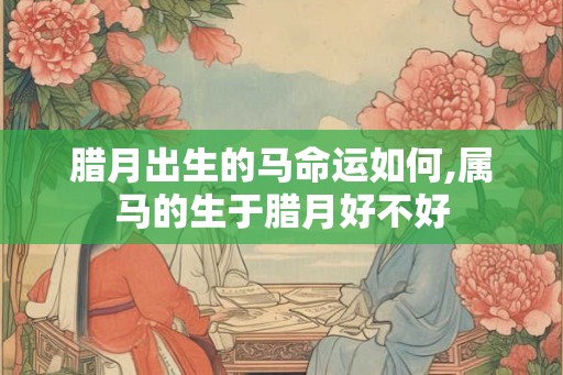 腊月出生的马命运如何,属马的生于腊月好不好