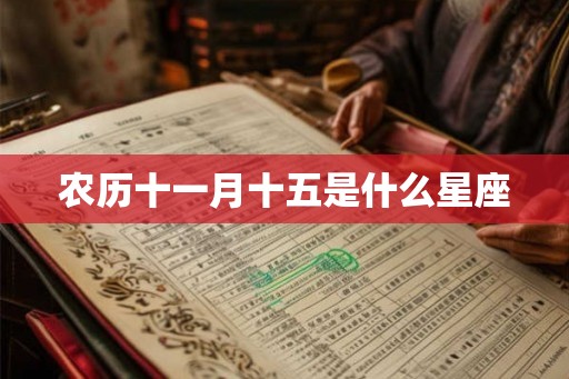农历十一月十五是什么星座