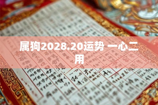 属狗2028.20运势 一心二用