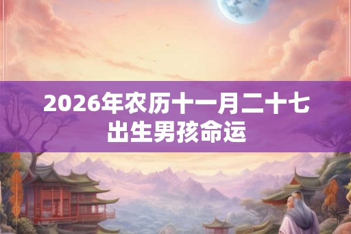 2026年农历十一月二十七出生男孩命运 2026年农历十一月二十七出生男孩命运
