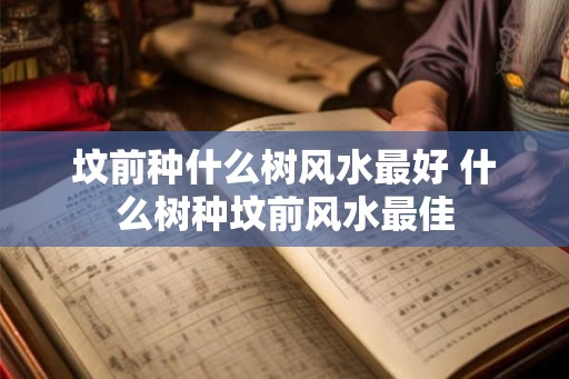 坟前种什么树风水最好 什么树种坟前风水最佳