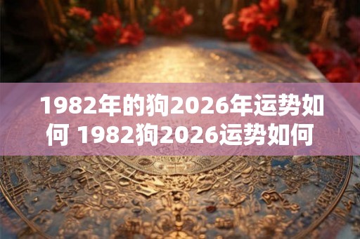 1982年的狗2026年运势如何 1982狗2026运势如何
