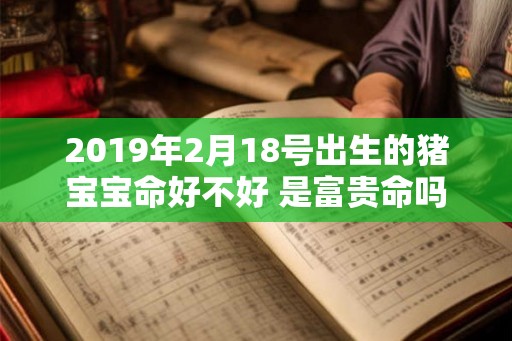 2019年2月18号出生的猪宝宝命好不好 是富贵命吗
