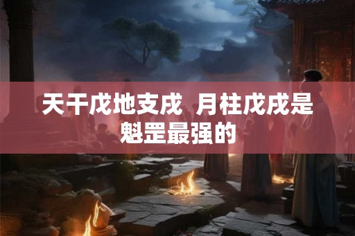 天干戊地支戌  月柱戊戌是魁罡最强的