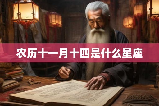 农历十一月十四是什么星座