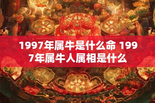 1997年属牛是什么命 1997年属牛人属相是什么