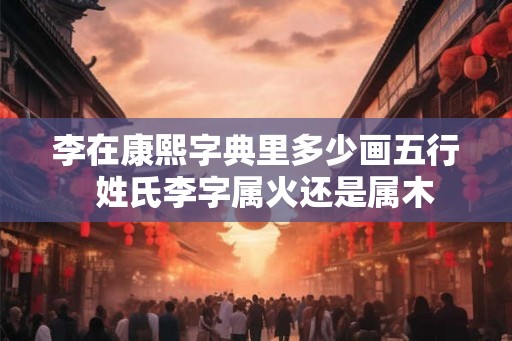 李在康熙字典里多少画五行  姓氏李字属火还是属木