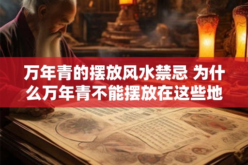 万年青的摆放风水禁忌 为什么万年青不能摆放在这些地方