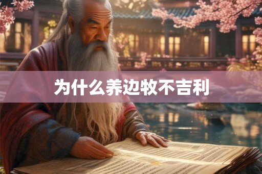 为什么养边牧不吉利 为什么养边牧不吉利